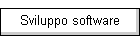 Sviluppo software